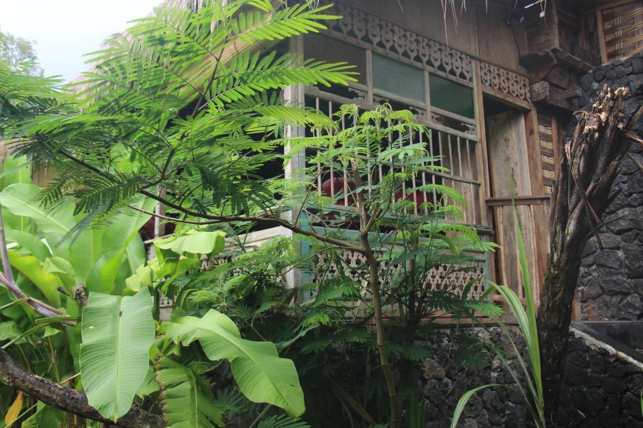 Geopark Village Kintamani  Ngoại thất bức ảnh