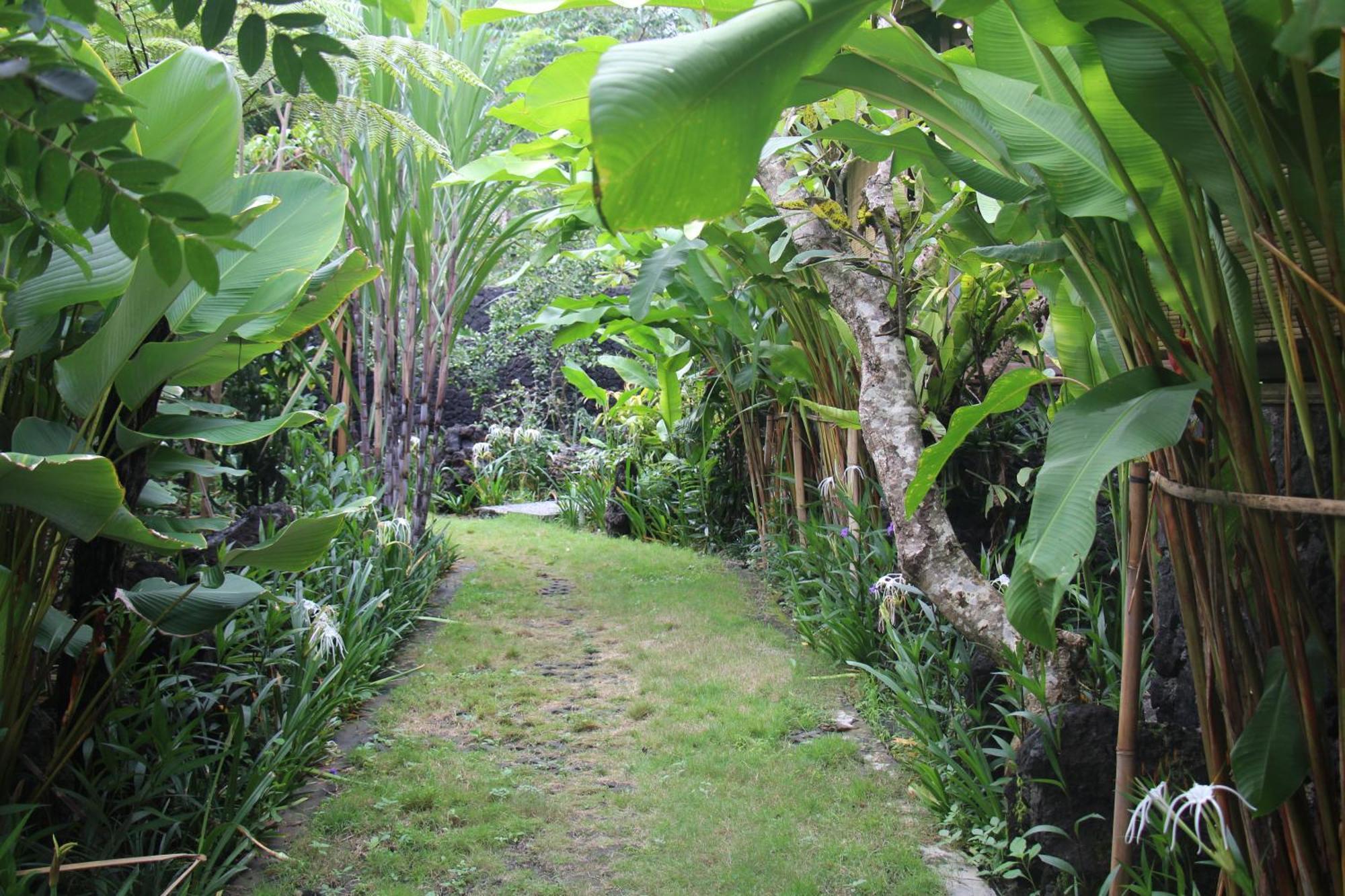 Geopark Village Kintamani  Ngoại thất bức ảnh