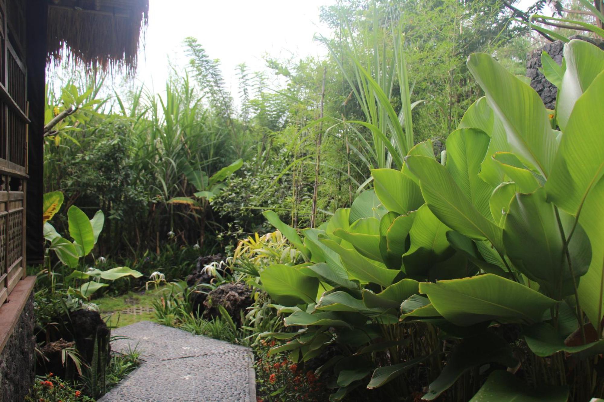 Geopark Village Kintamani  Ngoại thất bức ảnh